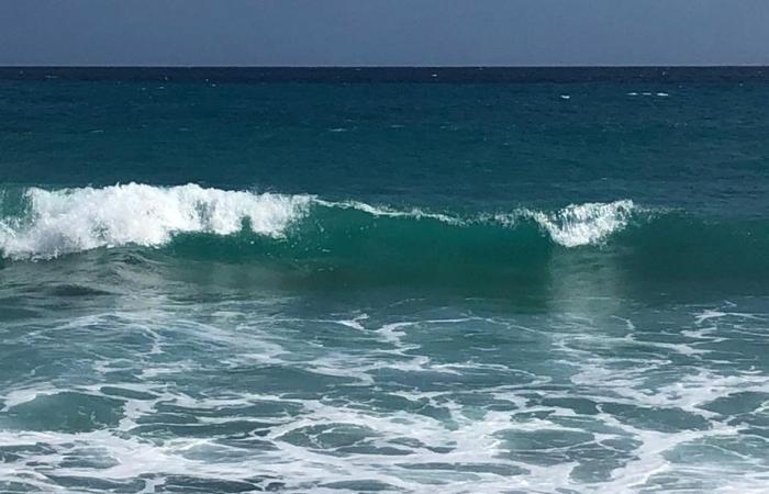 Yellow alert for “waves and submersion” in North Basse-Terre