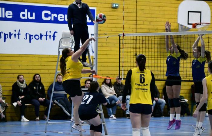 VOLLEYBALL: Only the men of Le Creusot won… The women lost everything…