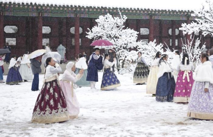 Biggest November snowstorm in half a century hits Seoul and grounds flights