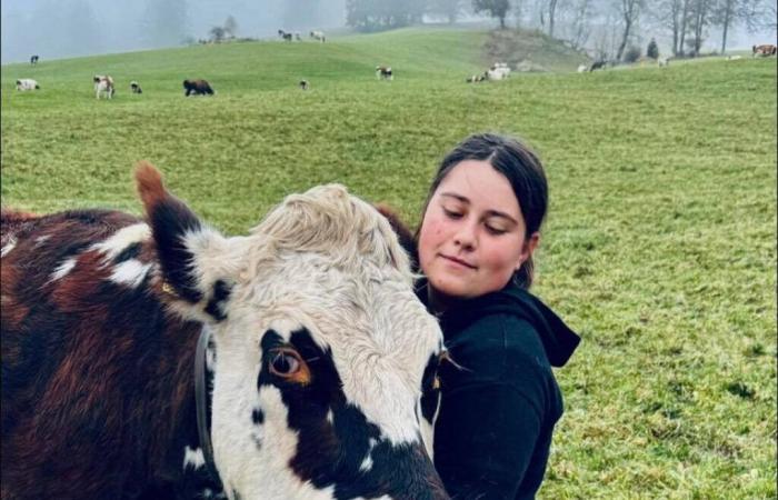 Haut-Jura. Does this young farmer have any chance of becoming Miss Agricultural France?