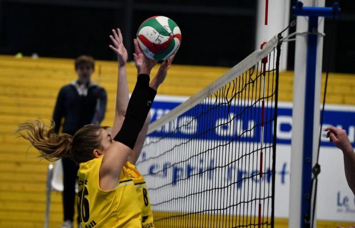 VOLLEYBALL: Only the men of Le Creusot won… The women lost everything…