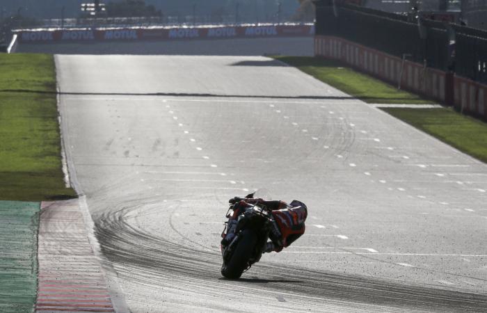 MotoGP: Pedro Acosta reassures the three rookies after their fall