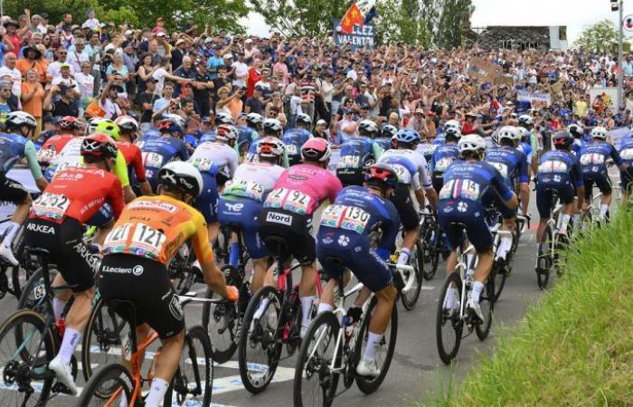 Cycling. Road – 13 French professional teams in 2025, one more than in 2024