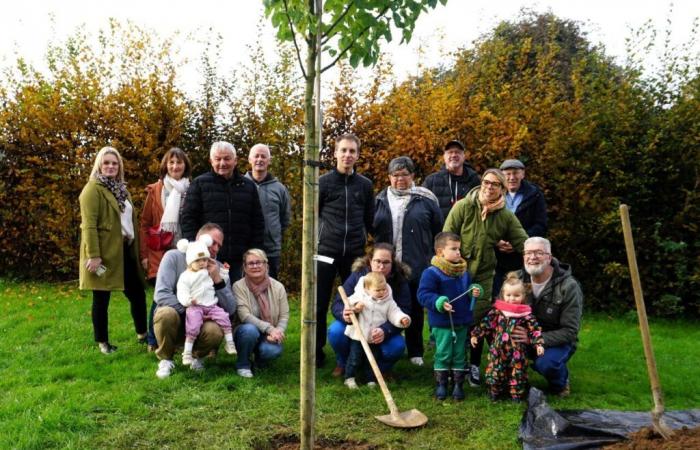 In Calvados, a municipality celebrates births on a tree!