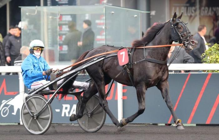 Newcomers among the 3-year-olds on the climb