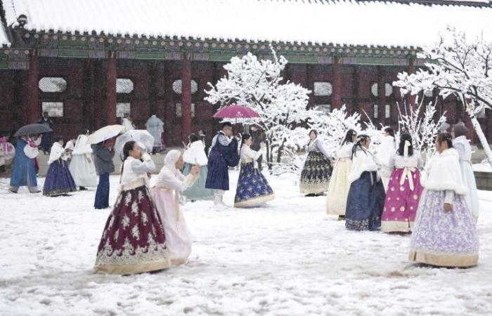 Biggest November snowstorm in half a century hits Seoul and grounds flights