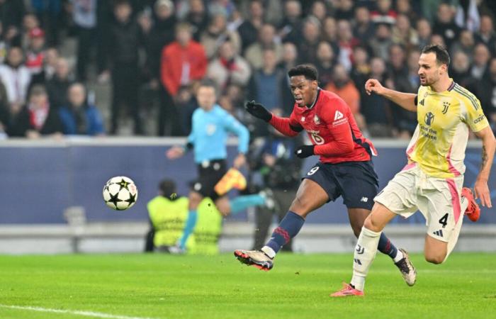 Bologna Lille prediction: Analysis, odds and prediction of the Champions League poster – Sports betting