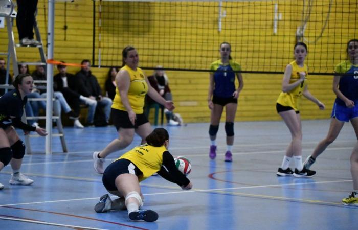 VOLLEYBALL: Only the men of Le Creusot won… The women lost everything…