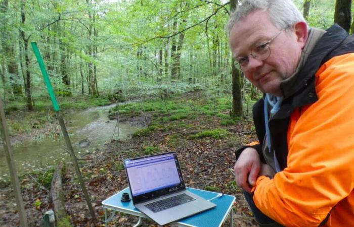 Swore. In the Chaux forest, the restoration of waterways is bearing fruit