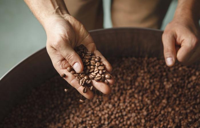 the price of coffee risks exploding in the coming months