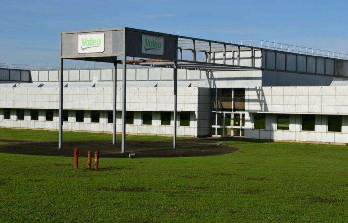 Automotive supplier Valeo announces the elimination of 868 positions in France