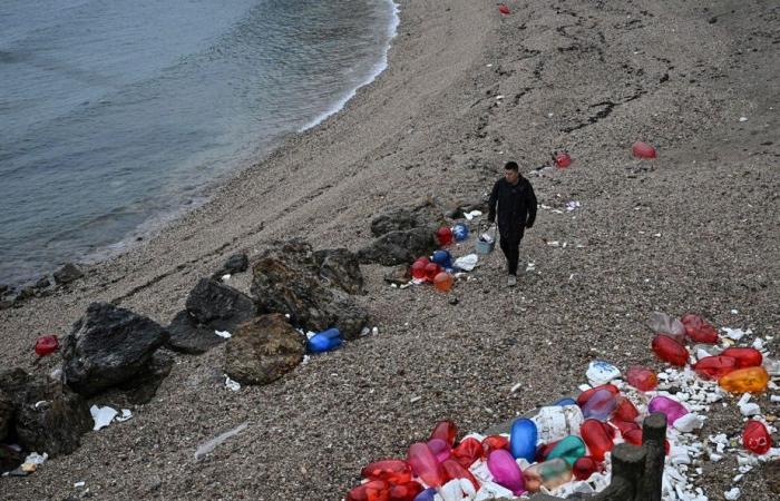 Chinese Miaodao Islands | Plastic waste recycled into works of art