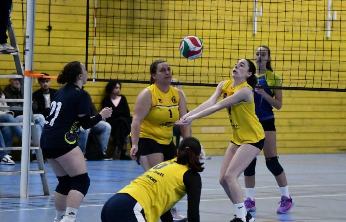 VOLLEYBALL: Only the men of Le Creusot won… The women lost everything…