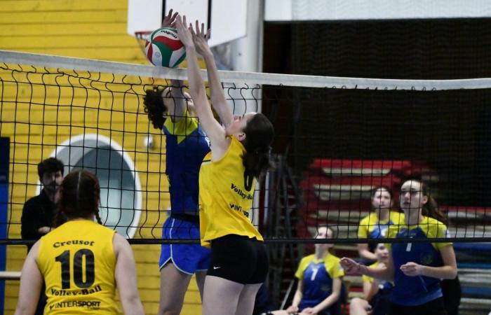 VOLLEYBALL: Only the men of Le Creusot won… The women lost everything…