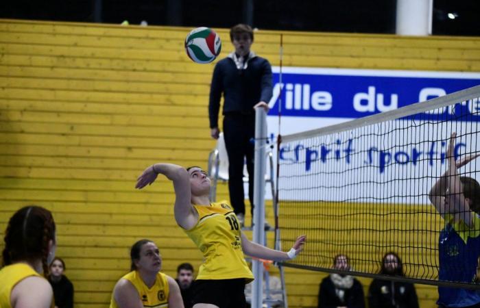 VOLLEYBALL: Only the men of Le Creusot won… The women lost everything…