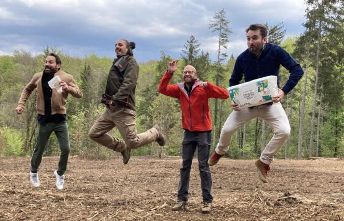 In the forests of Haut-Jura, a cheeky reforestation project