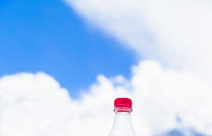 France Nature Environnement files a complaint against Coca-Cola for greenwashing