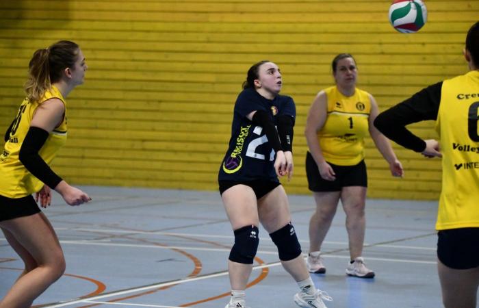 VOLLEYBALL: Only the men of Le Creusot won… The women lost everything…