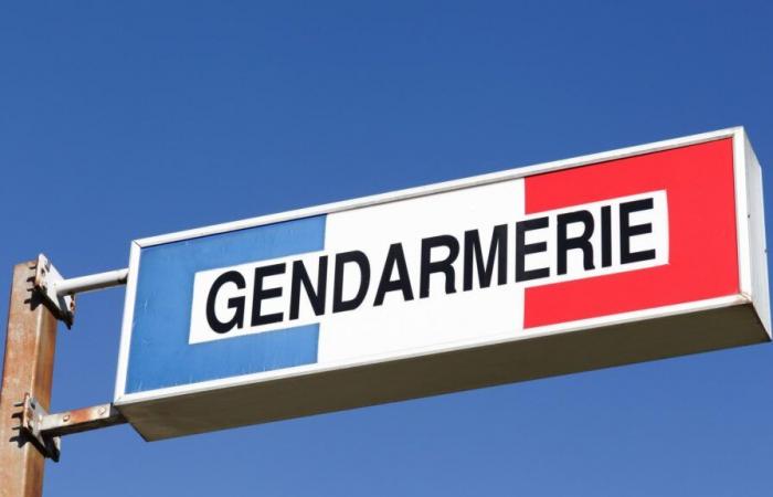 A man arrested in Grenoble, suspected of being involved in the “disappeared from Isère” case