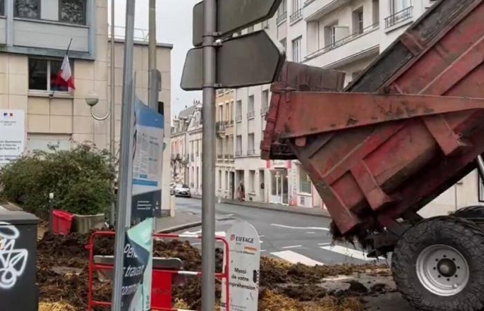 Indre-et-Loire: angry farmers dump manure in the city center of Tours