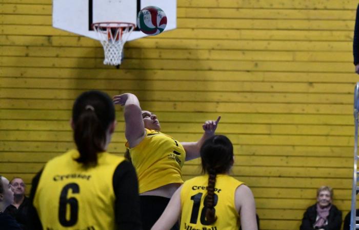 VOLLEYBALL: Only the men of Le Creusot won… The women lost everything…