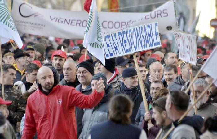 Anger of winegrowers: a regional demonstration planned for Saturday November 30