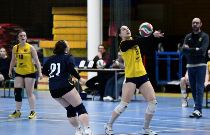 VOLLEYBALL: Only the men of Le Creusot won… The women lost everything…