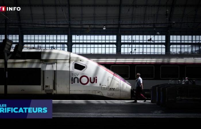 CHECK – In the event of an inspection, can SNCF impose a fine if the identity document is in PDF format?