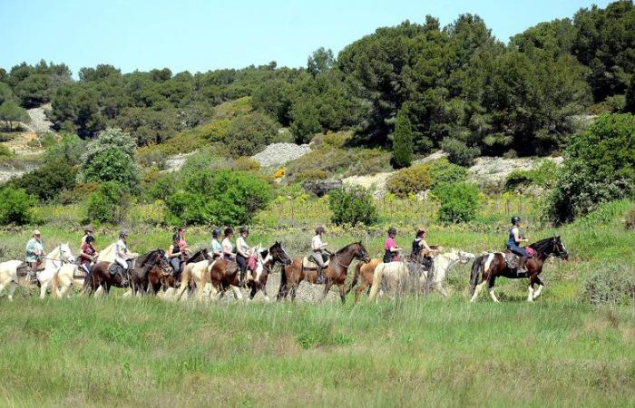 Horseback riding, this major asset of the tourist attractiveness of Aude