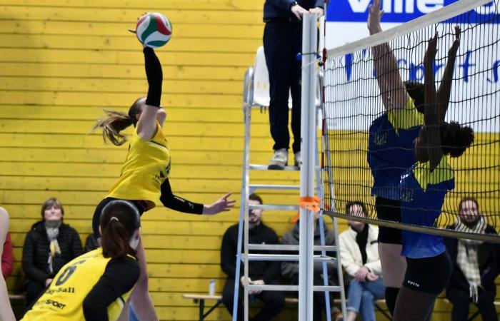 VOLLEYBALL: Only the men of Le Creusot won… The women lost everything…