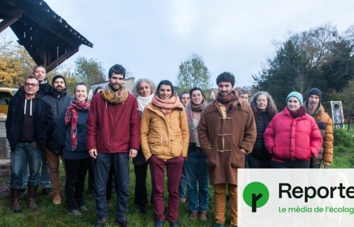 a collective of organic farmers prevented from setting up