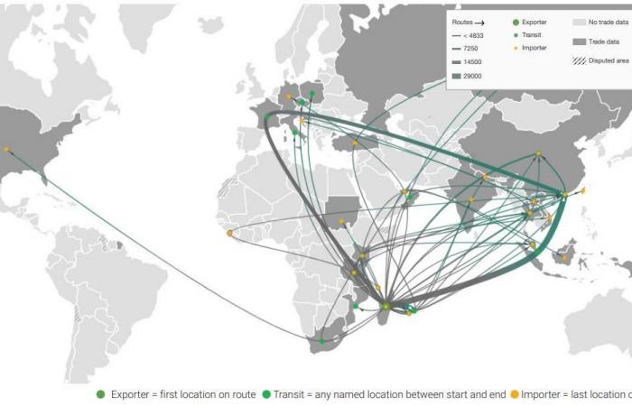 A thousand seized turtles and lemurs will be repatriated to Madagascar – rts.ch