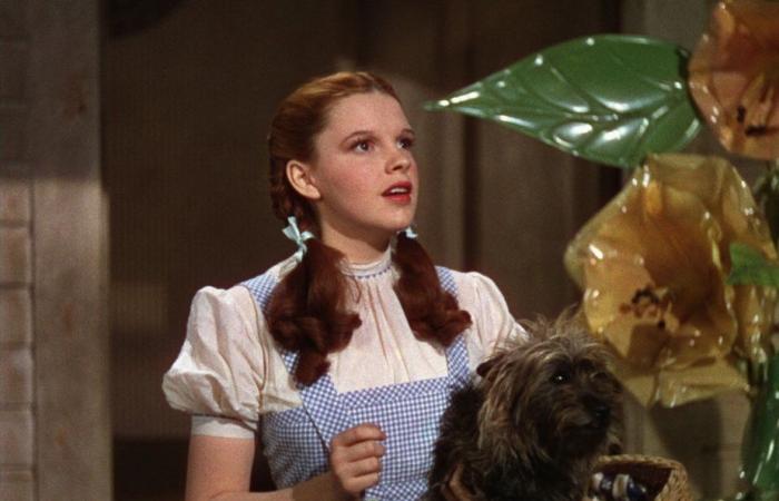 The Wizard of Oz’s red shoes put up for auction