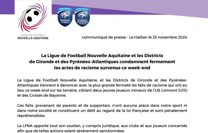 Investigation opened after monkey cries during a match in the Pyrénées-Atlantique