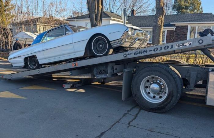 Collector vehicles reported stolen in Ontario: around twenty seizures in Quebec