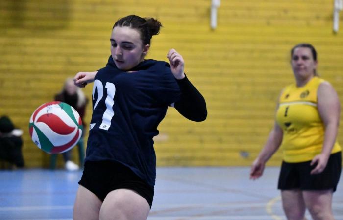 VOLLEYBALL: Only the men of Le Creusot won… The women lost everything…