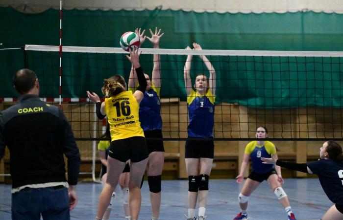 VOLLEYBALL: Only the men of Le Creusot won… The women lost everything…