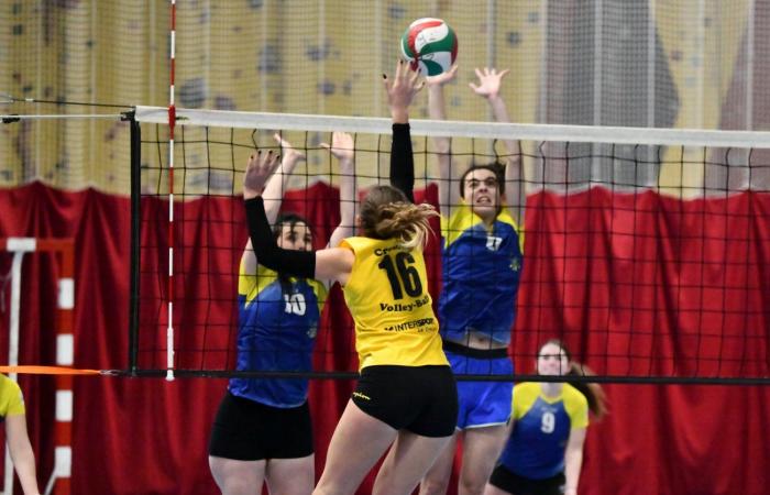 VOLLEYBALL: Only the men of Le Creusot won… The women lost everything…