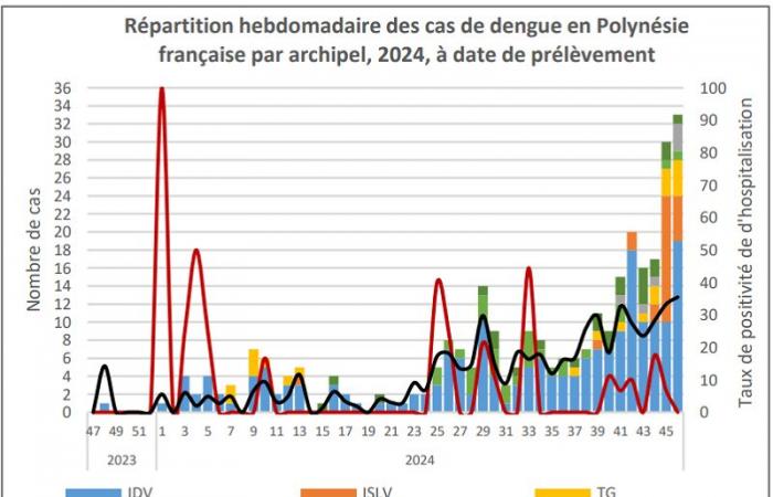 Dengue: “proven epidemic” in Tahiti and Moorea