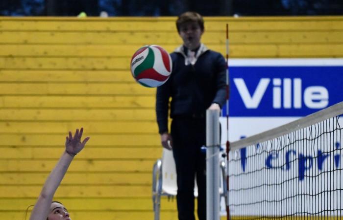 VOLLEYBALL: Only the men of Le Creusot won… The women lost everything…