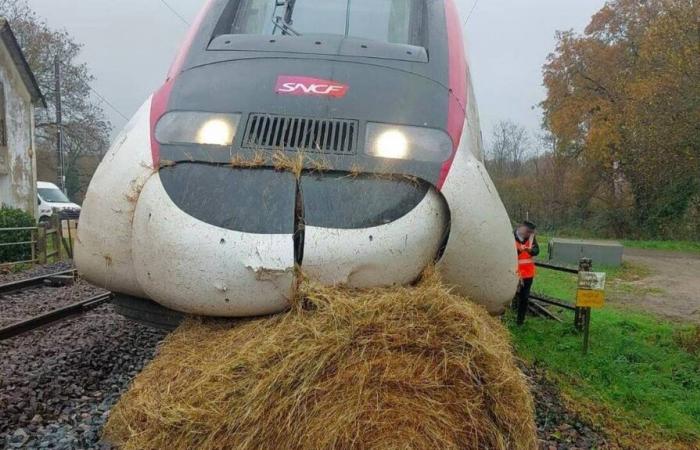 How could a bale of straw get on the track and damage a TGV near Nantes?