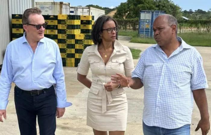 Guyana: Visit by the president of UDE-MEDEF Guadeloupe to pool issues