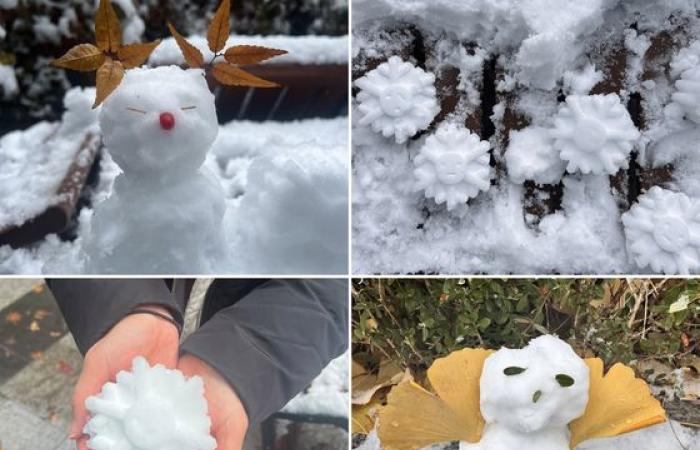 Heavy snow turns Korea into winter wonderland — in pictures