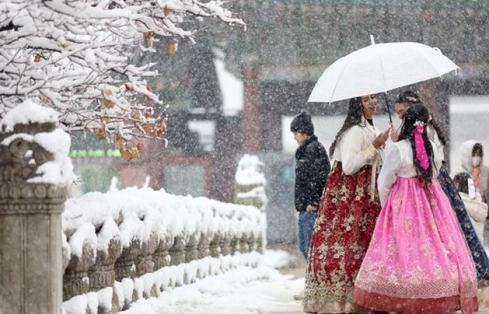 Heavy snow turns Korea into winter wonderland — in pictures