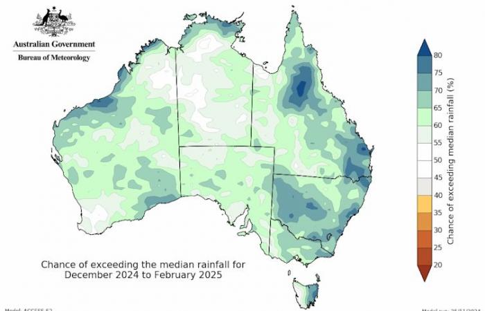 This summer will likely be wetter and warmer for most Australians, bureau forecast says