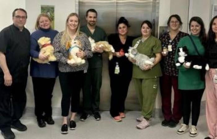 Robotic animals at Montmagny Hospital