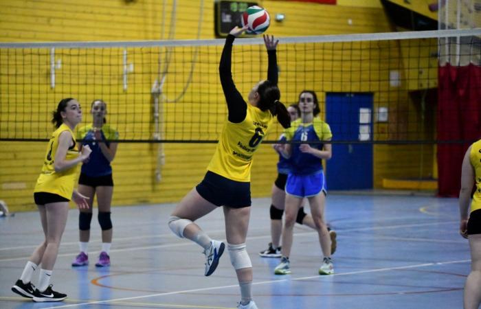 VOLLEYBALL: Only the men of Le Creusot won… The women lost everything…