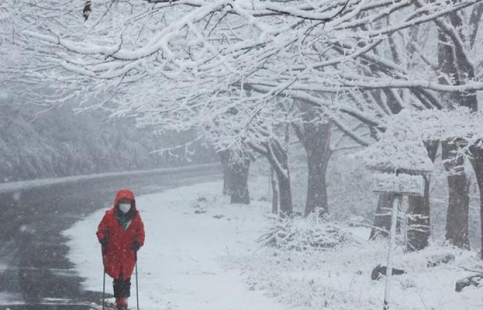 Heavy snow turns Korea into winter wonderland — in pictures