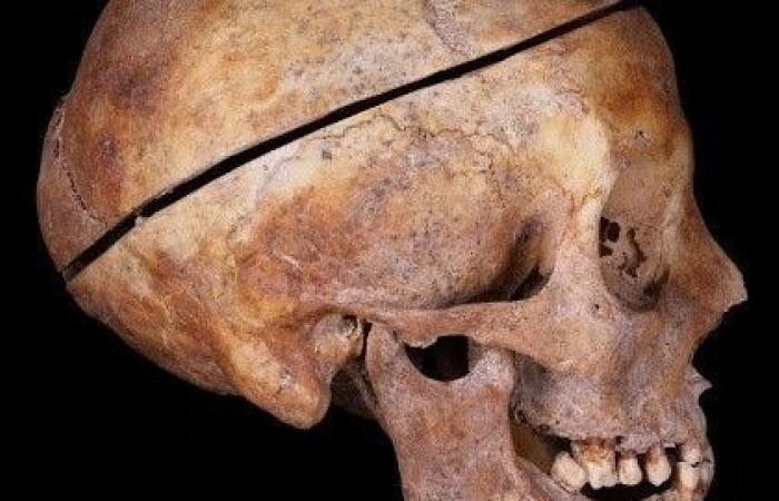 Discovery of an embalmed family in the heart of the Dordogne