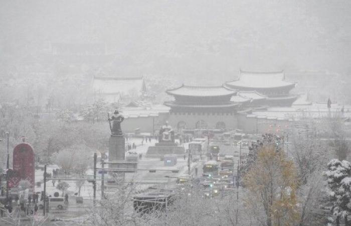 Biggest November snowstorm in half a century hits Seoul and grounds flights